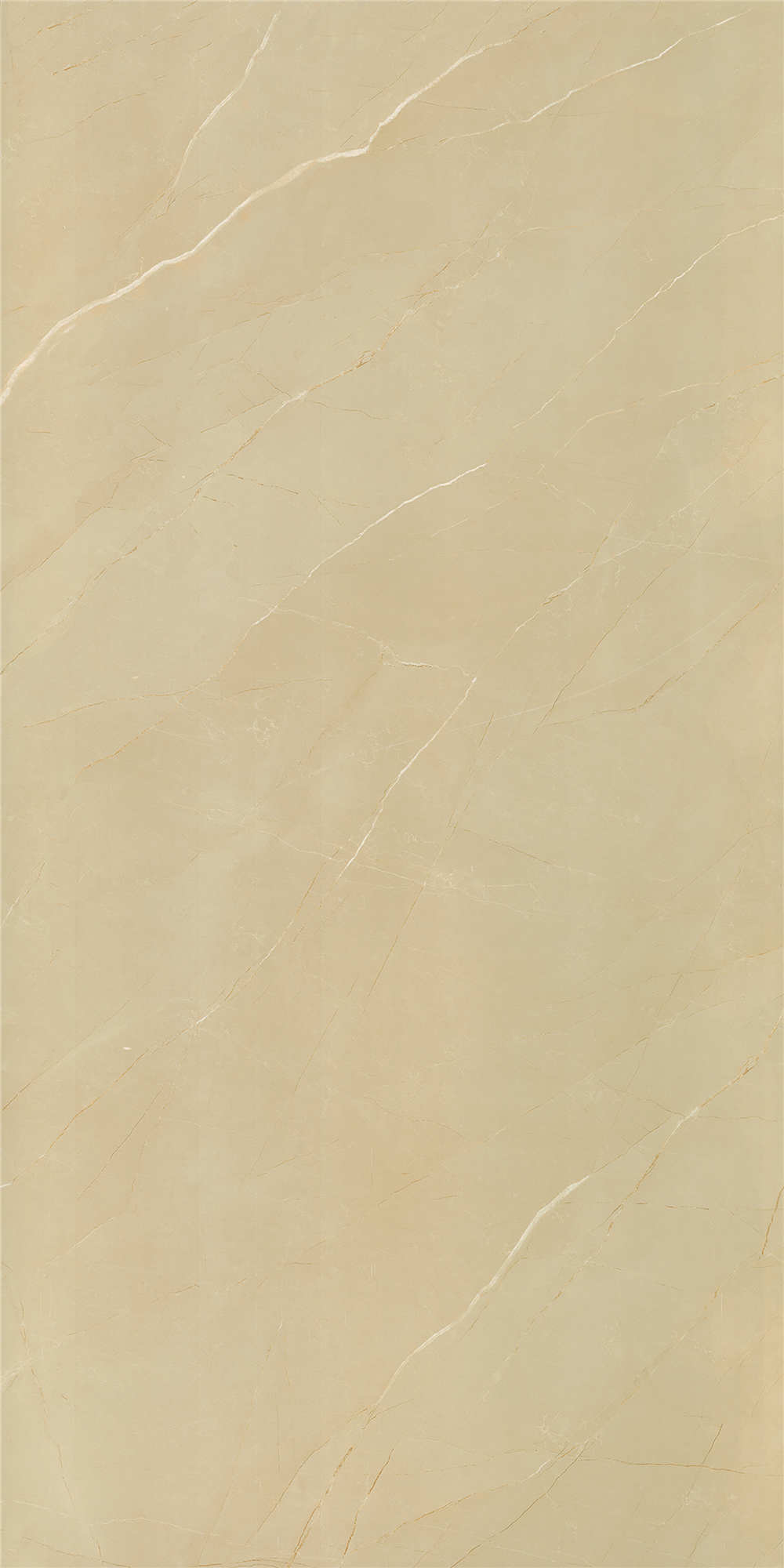 12603
