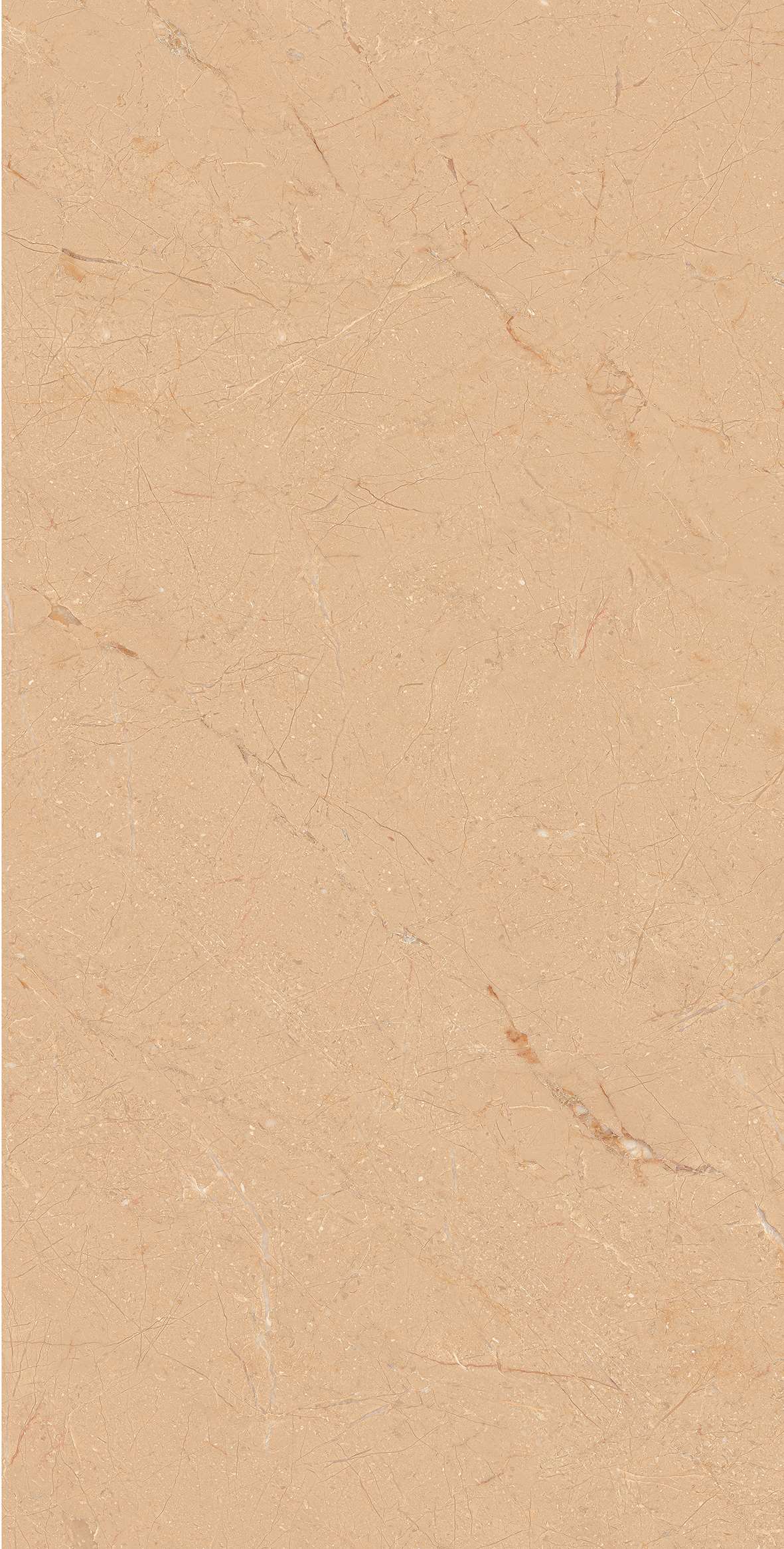 12638 polished600X1200