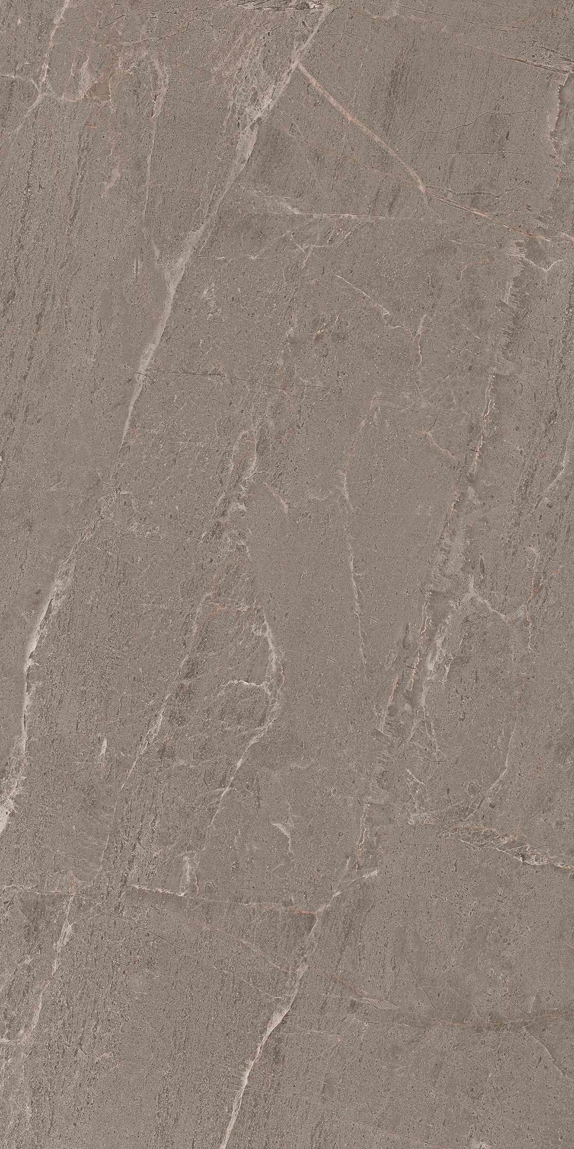 12641 polished600X1200