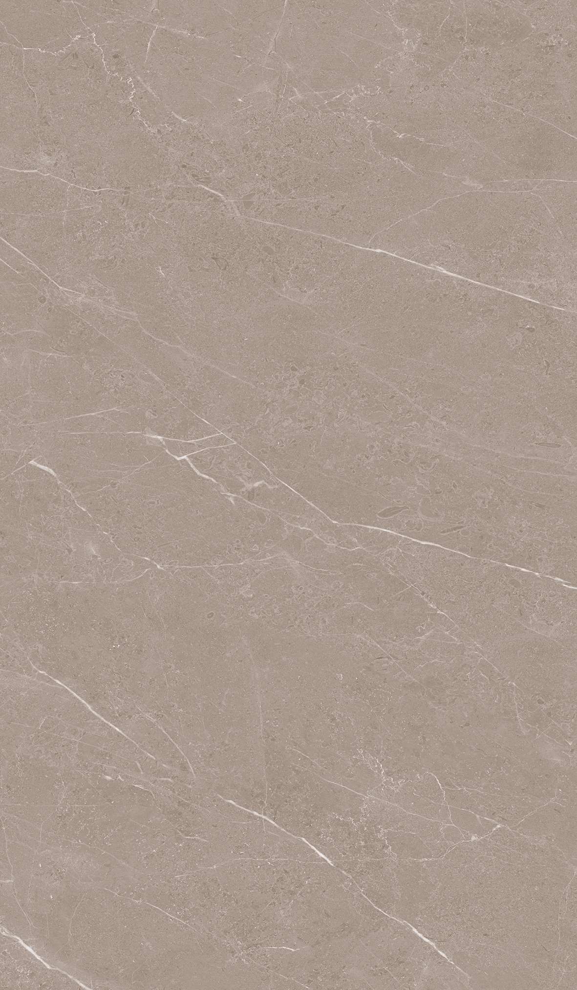 12643 polished600X1200