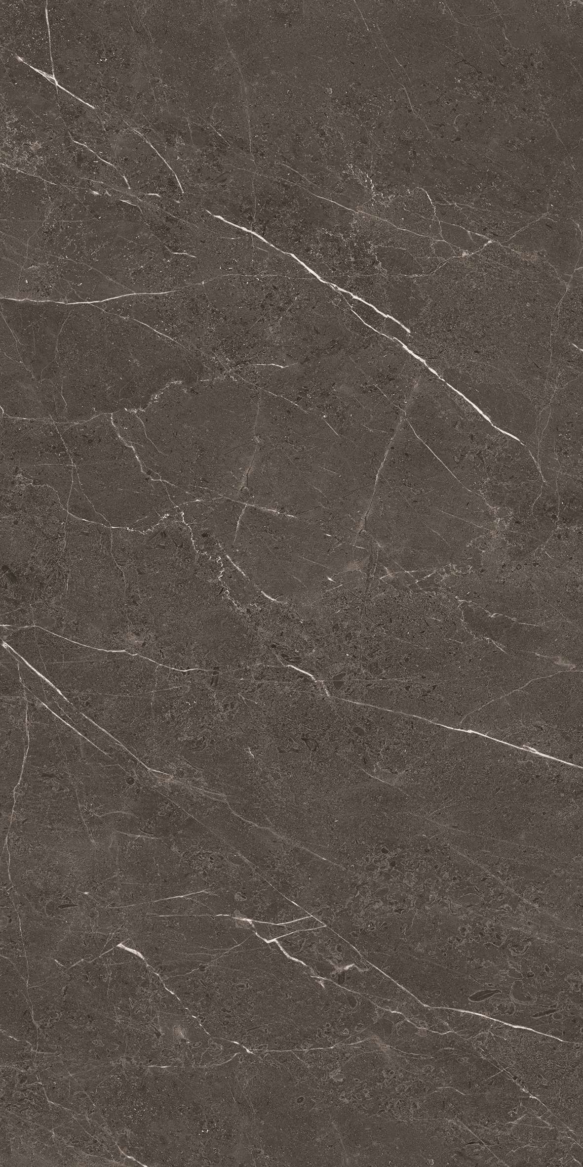 12644 polished600X1200