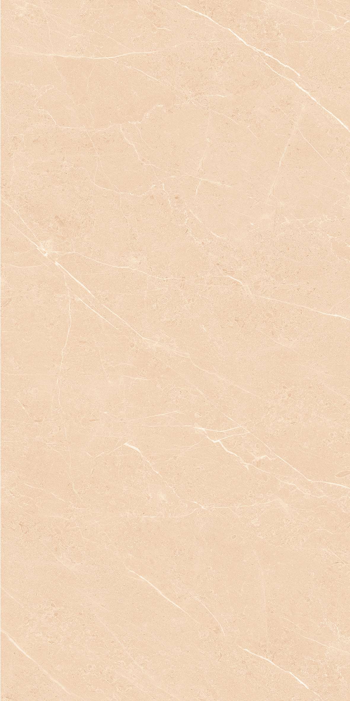 12645 polished600X1200