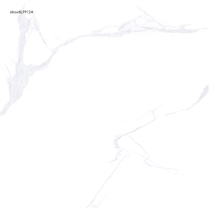 NP20517