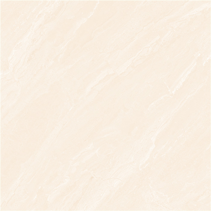 NP20503
