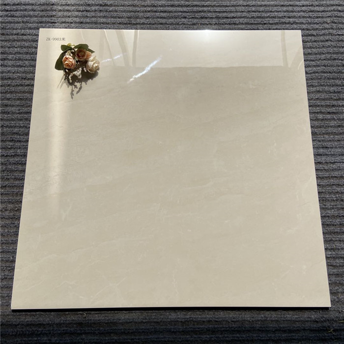 NP20509